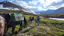 Canada-Yukon-Ogilvie Pack Trip